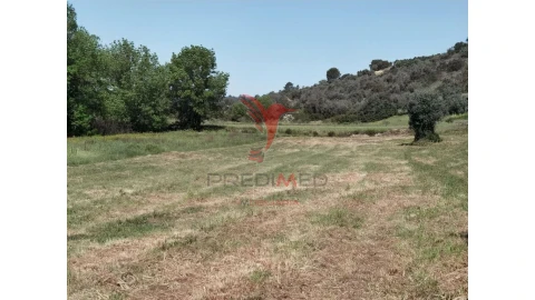 Terreno para Venda em Arneiro das Milhariças