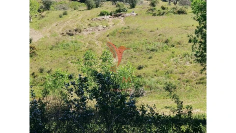 Terreno para Venda em Arneiro das Milhariças
