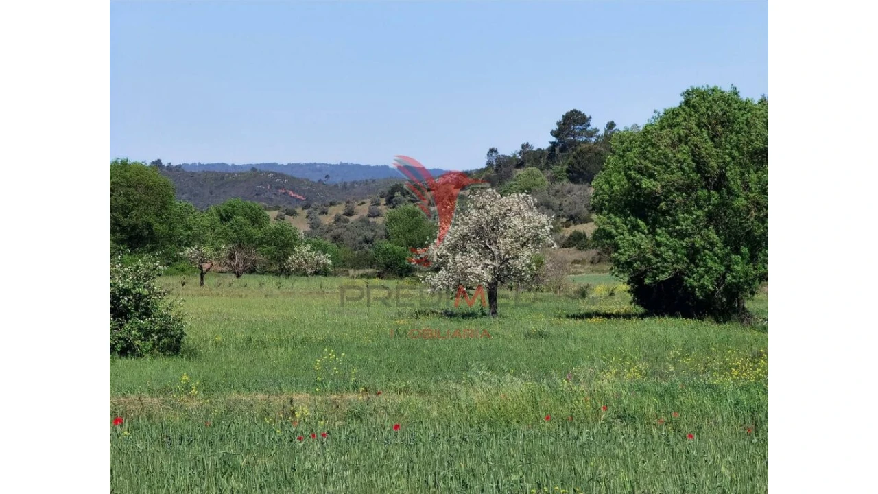 Terreno para Venda em Arneiro das Milhariças Foto 1