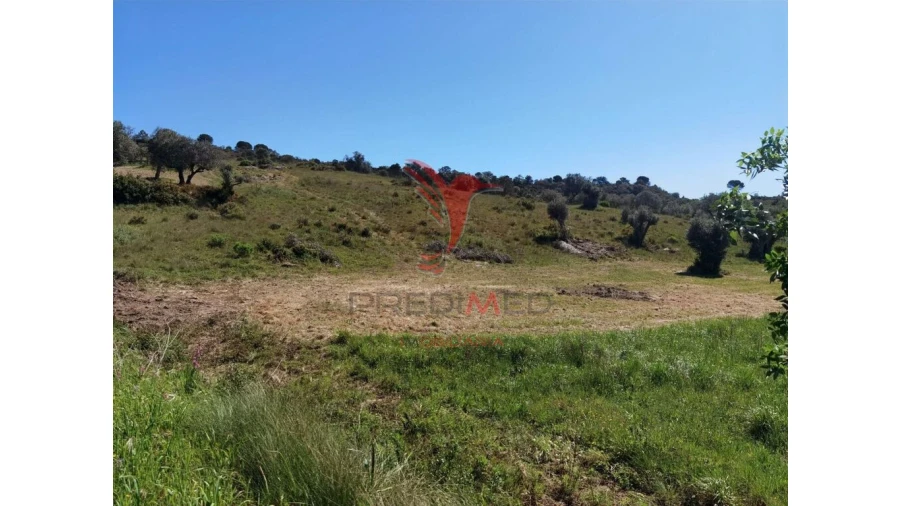 Terreno para Venda em Arneiro das Milhariças Foto 10
