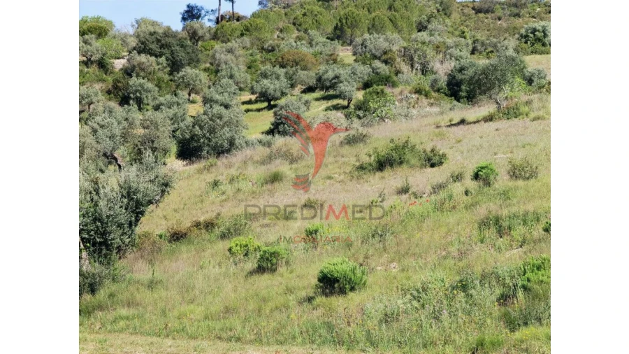 Terreno para Venda em Arneiro das Milhariças Foto 19