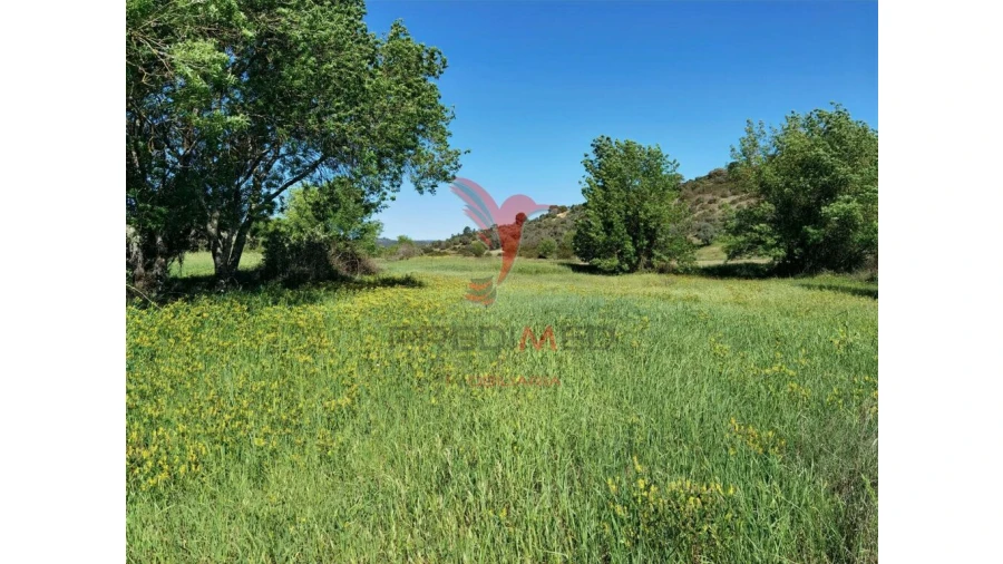 Terreno para Venda em Arneiro das Milhariças Foto 5
