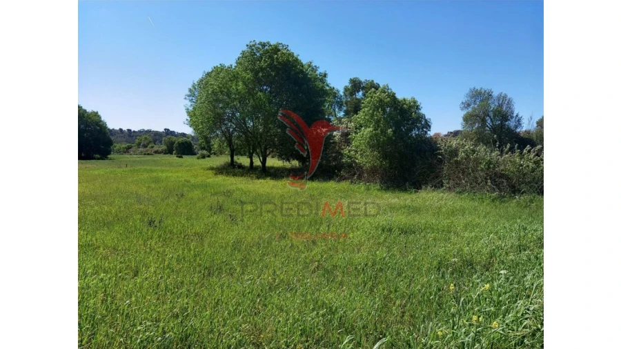 Terreno para Venda em Arneiro das Milhariças Foto 9