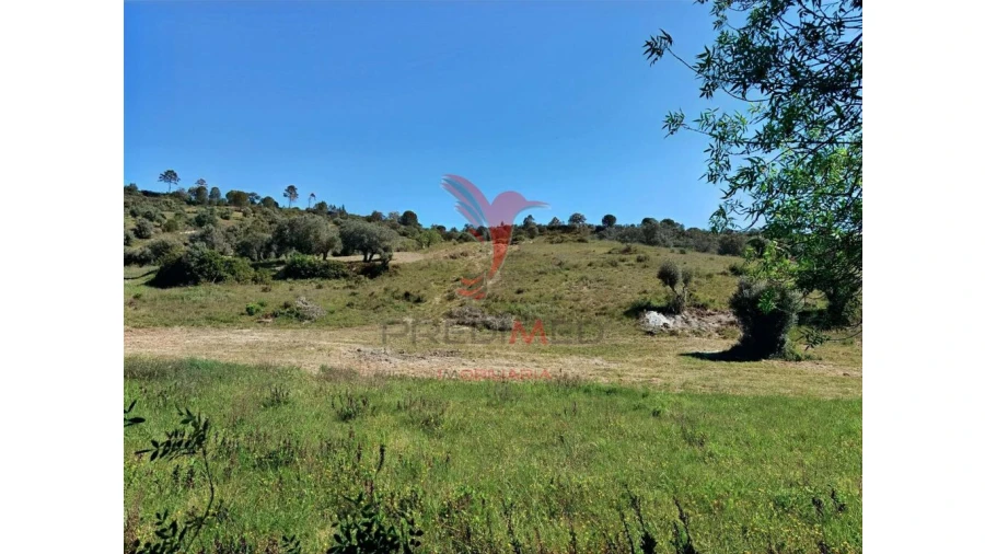 Terreno para Venda em Arneiro das Milhariças Foto 6