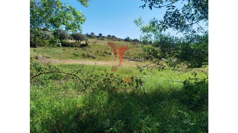 Terreno para Venda em Arneiro das Milhariças Foto 8