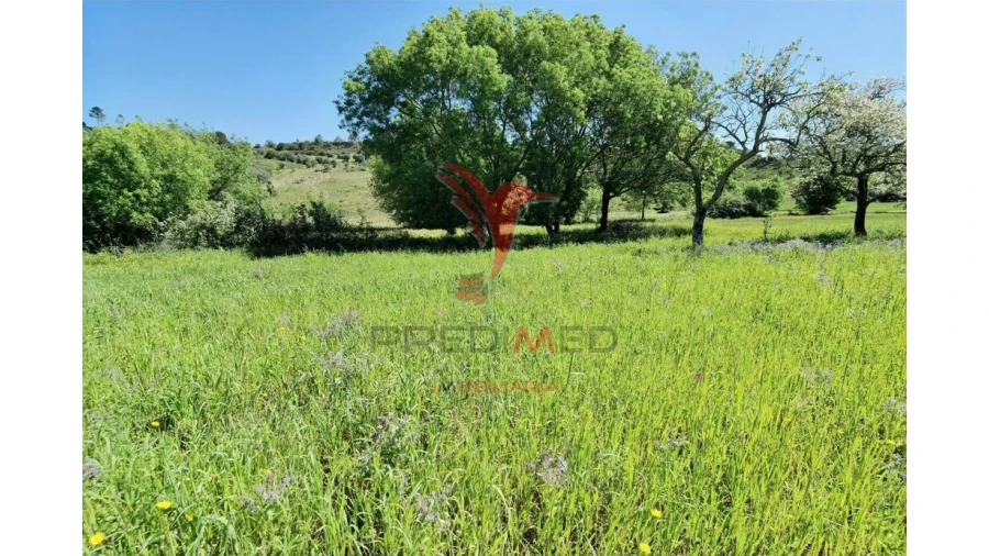 Terreno para Venda em Arneiro das Milhariças Foto 14