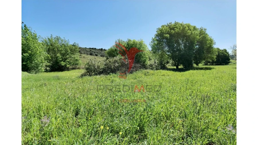 Terreno para Venda em Arneiro das Milhariças Foto 13