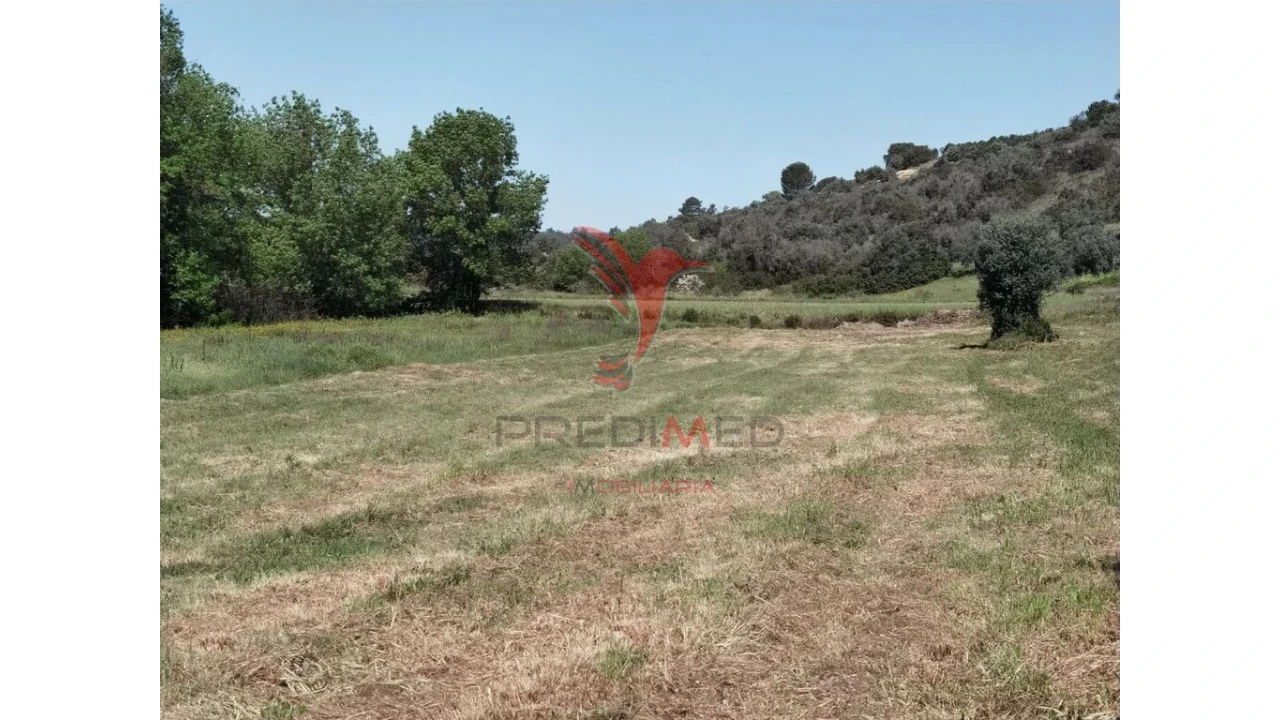 Terreno para Venda em Arneiro das Milhariças Foto 20