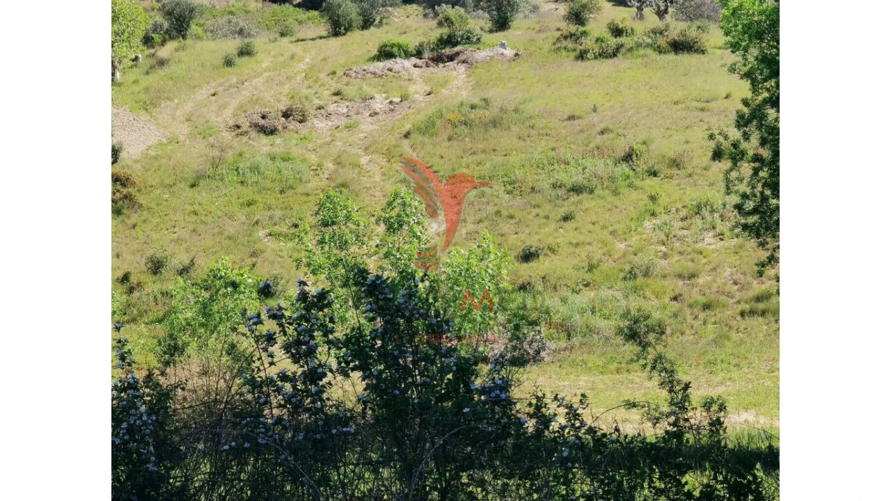 Terreno para Venda em Arneiro das Milhariças Foto 15