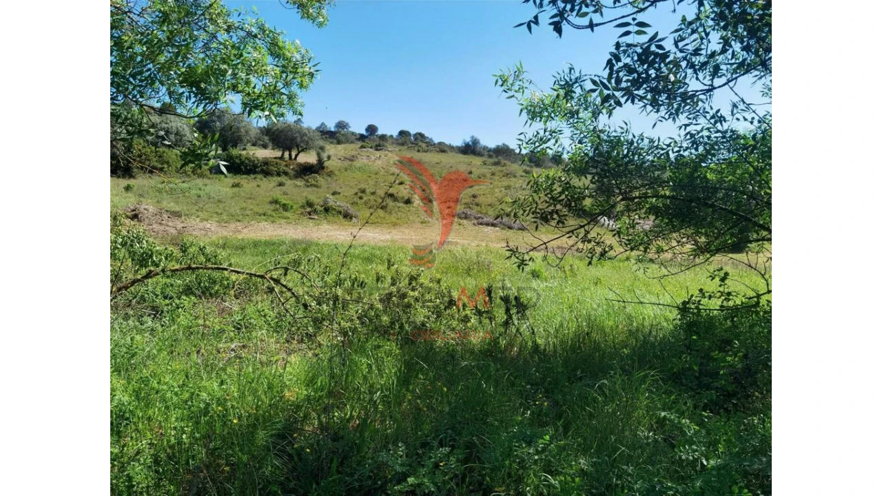 Terreno para Venda em Arneiro das Milhariças Foto 8