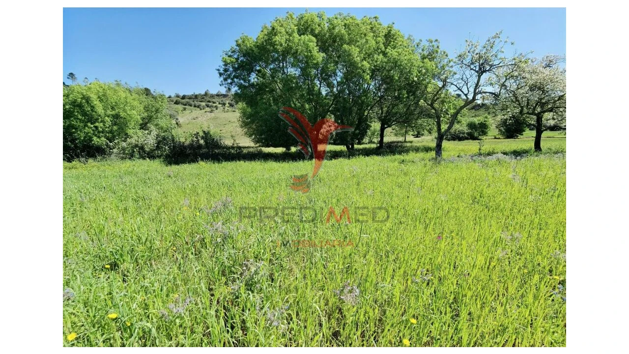 Terreno para Venda em Arneiro das Milhariças Foto 14