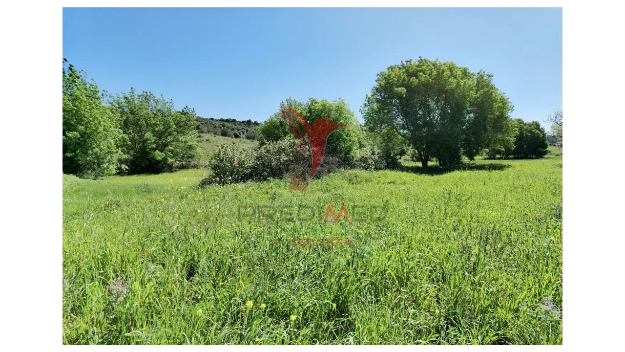 Terreno para Venda em Arneiro das Milhariças Foto 13