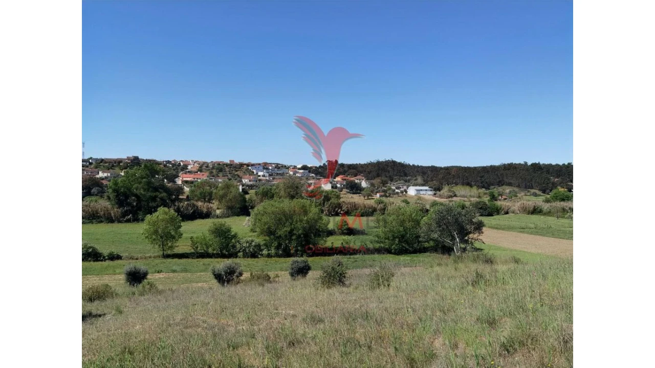 Terreno para Venda em Arneiro das Milhariças Foto 3