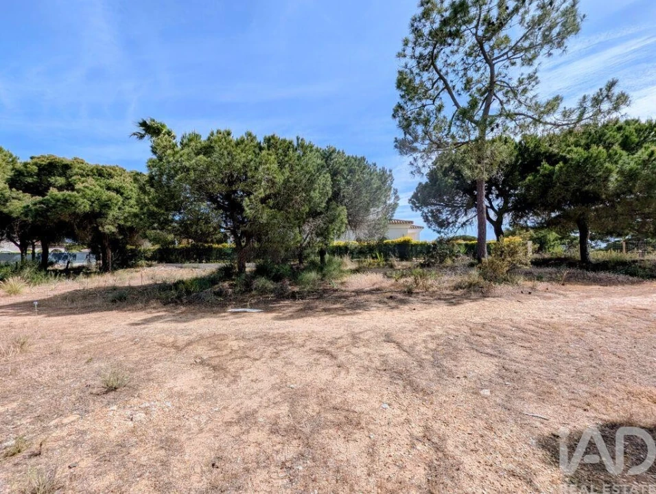 Terreno para Venda em Almancil Foto 5