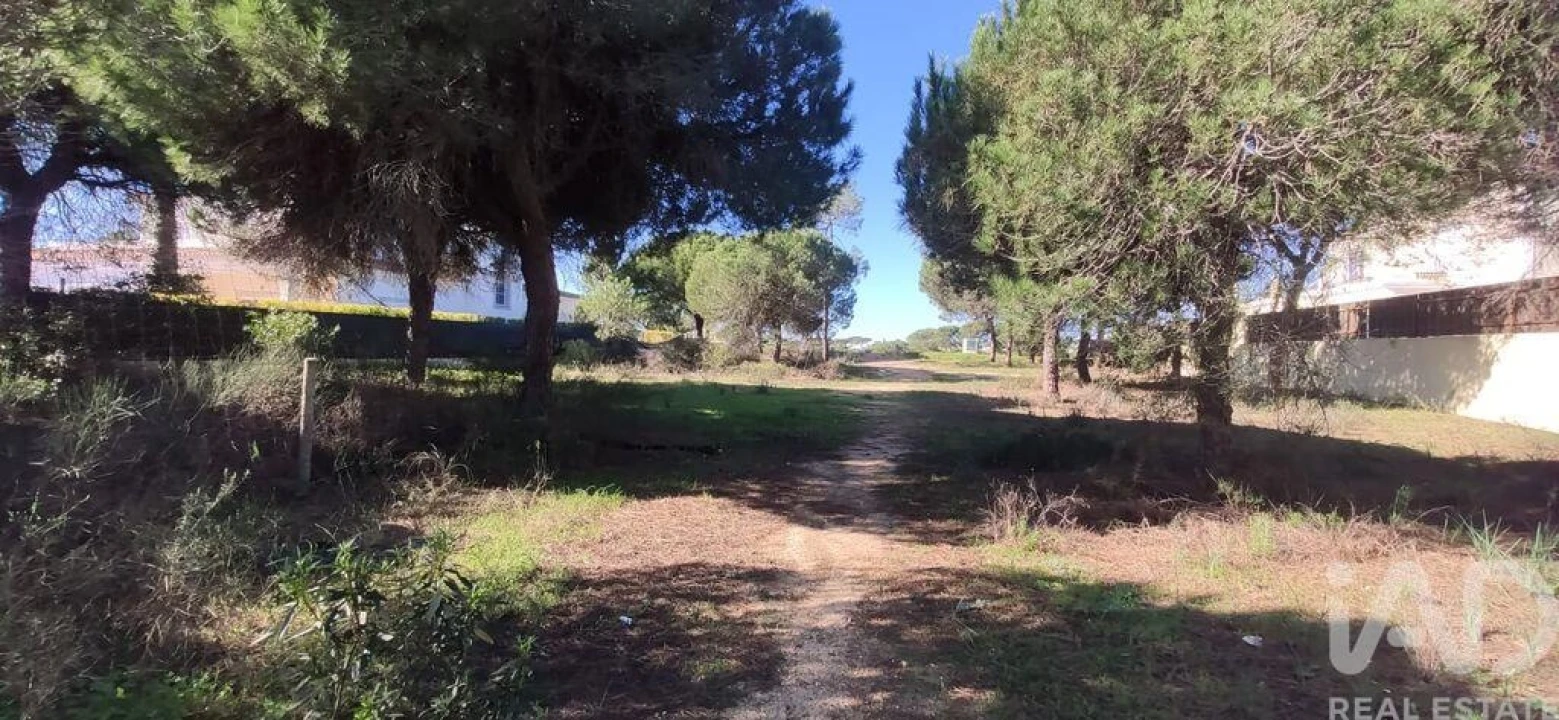 Terreno para Venda em Almancil Foto 4