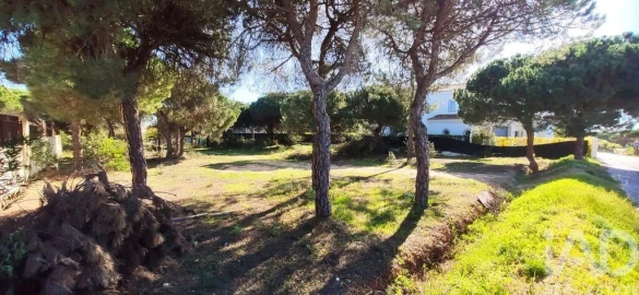 Terreno para Venda em Almancil