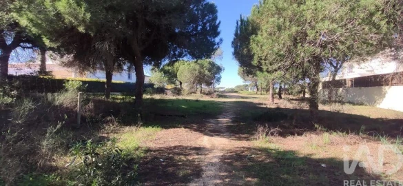 Terreno para Venda em Almancil
