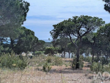 Terreno para Venda em Almancil
