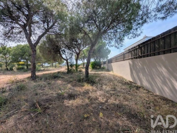 Terreno para Venda em Almancil