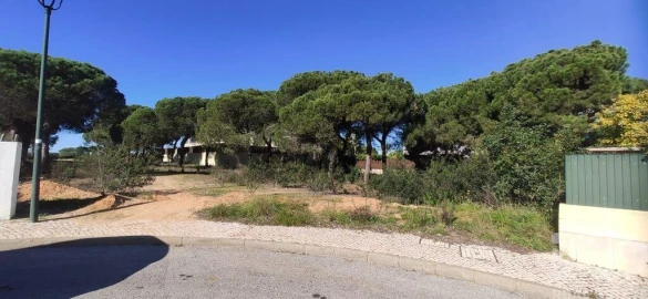 Terreno para Venda em Almancil