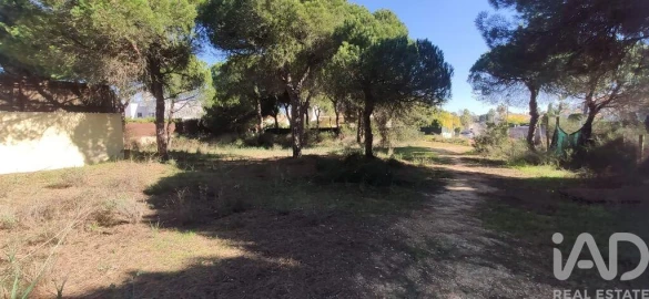 Terreno para Venda em Almancil