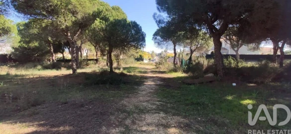 Terreno para Venda em Almancil