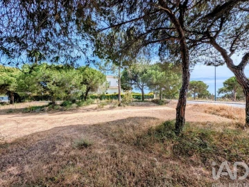 Terreno para Venda em Almancil