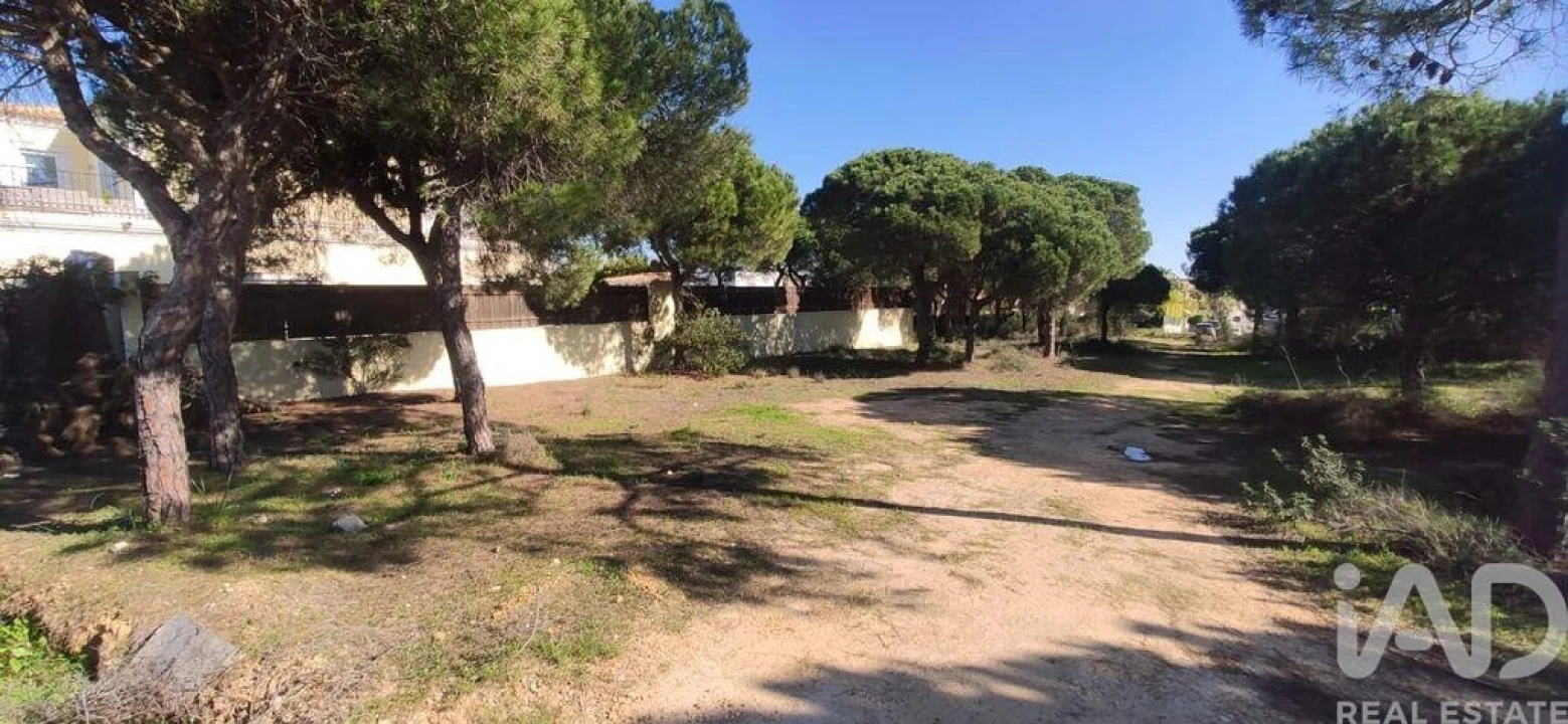 Terreno para Venda em Almancil Foto 3