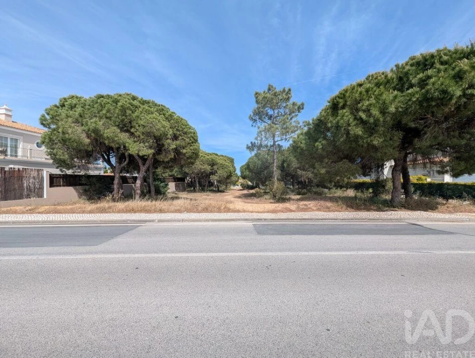Terreno para Venda em Almancil Foto 2