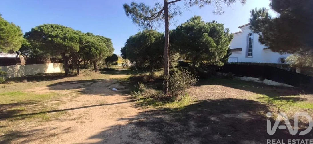 Terreno para Venda em Almancil Foto 2
