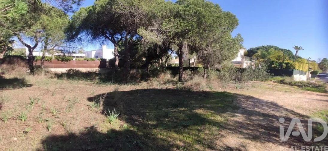 Terreno para Venda em Almancil Foto 5