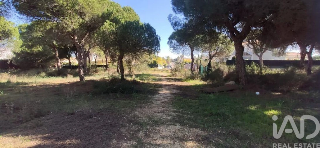 Terreno para Venda em Almancil Foto 10