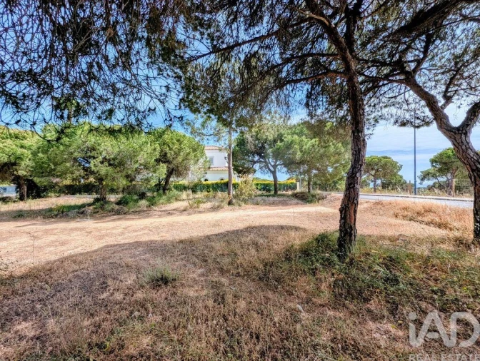 Terreno para Venda em Almancil Foto 6
