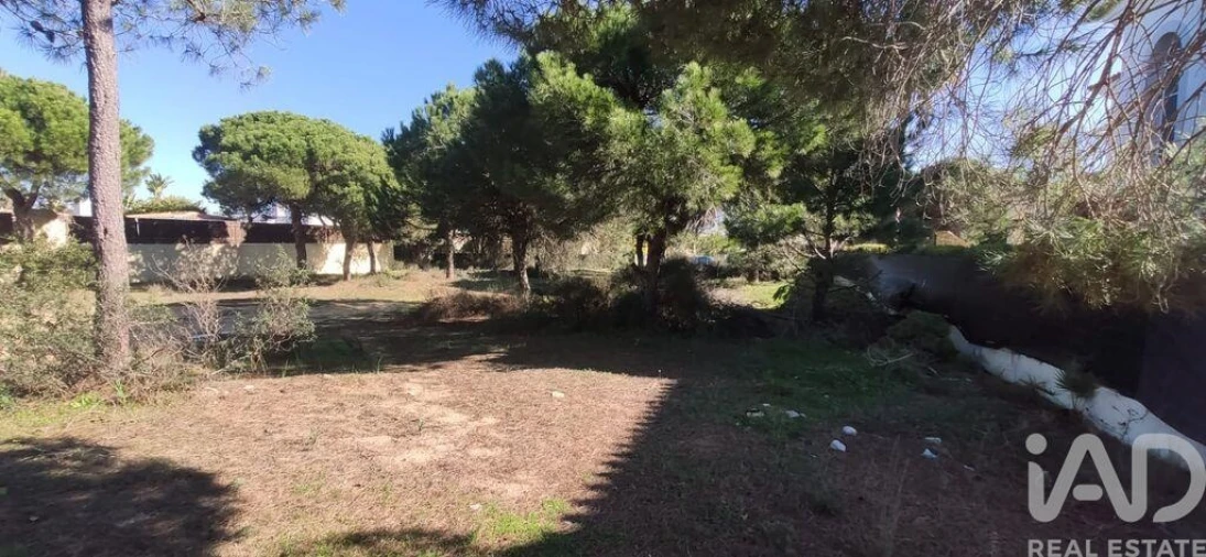 Terreno para Venda em Almancil Foto 11