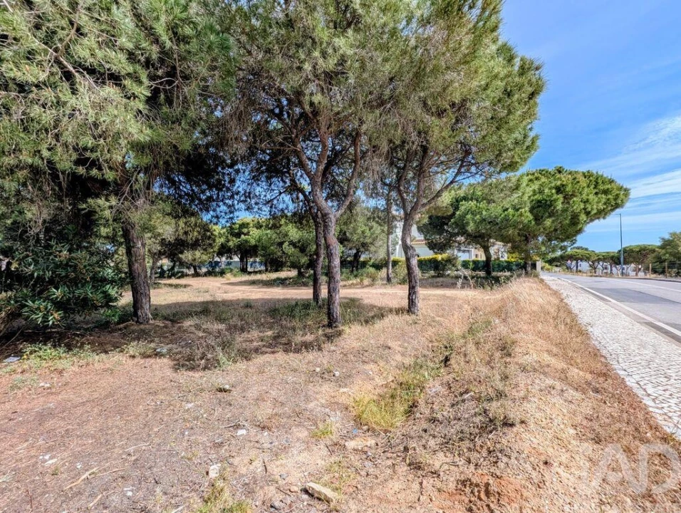Terreno para Venda em Almancil Foto 4