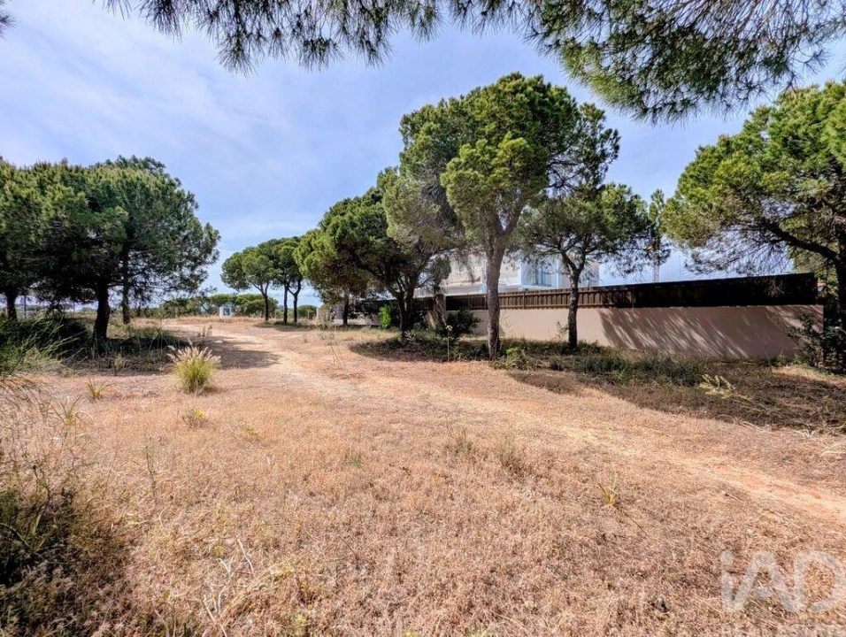 Terreno para Venda em Almancil Foto 1