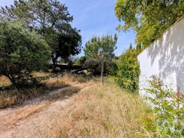 Terreno para Venda em Almancil