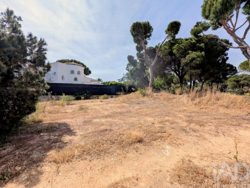 Terreno para Venda em Almancil Foto 2