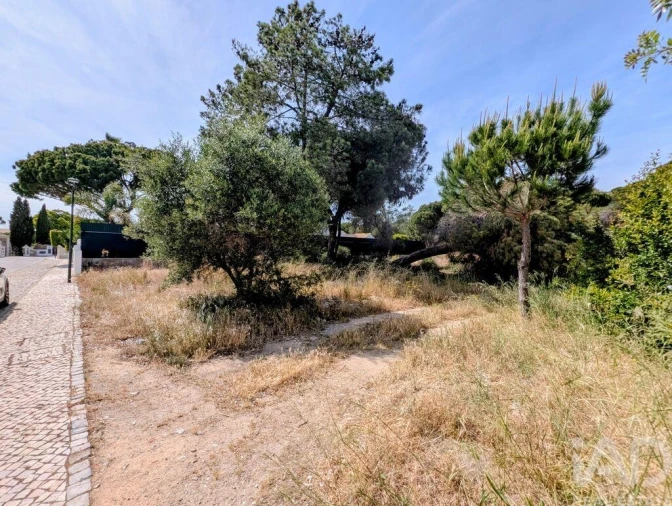 Terreno para Venda em Almancil Foto 5