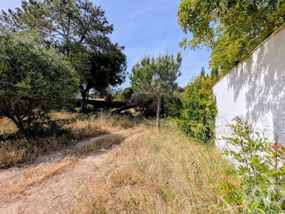 Terreno para Venda em Almancil Foto 4