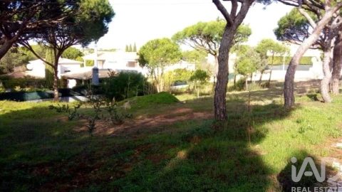 Terreno para Venda em Almancil