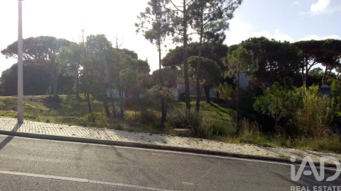 Terreno para Venda em Almancil