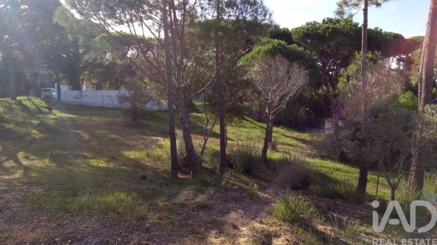 Terreno para Venda em Almancil Foto 4
