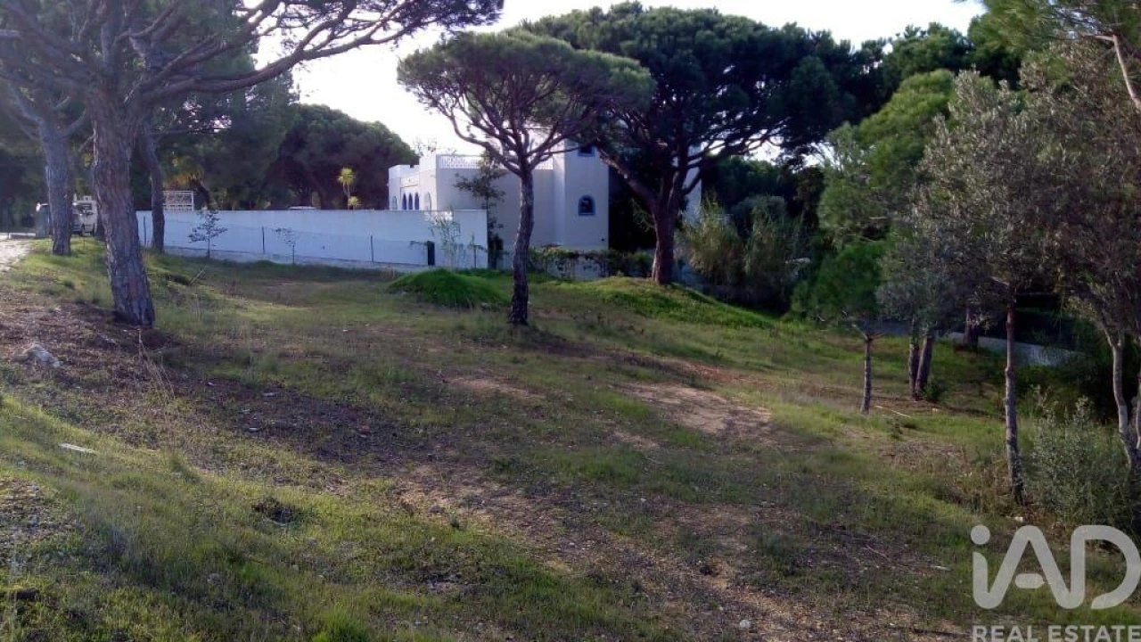 Terreno para Venda em Almancil Foto 1