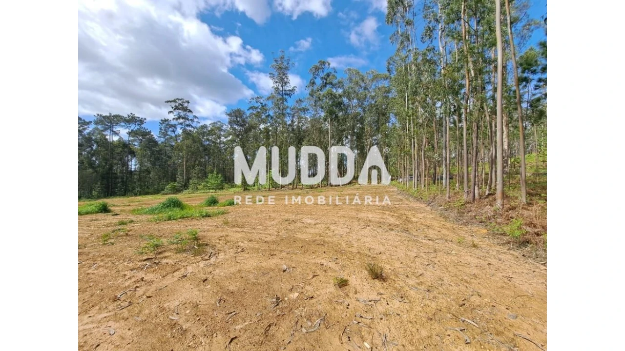 Terreno para Venda em São Martinho da Gandara Foto 5