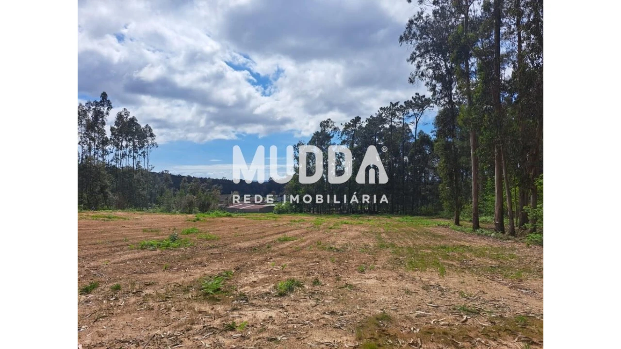 Terreno para Venda em São Martinho da Gandara Foto 10