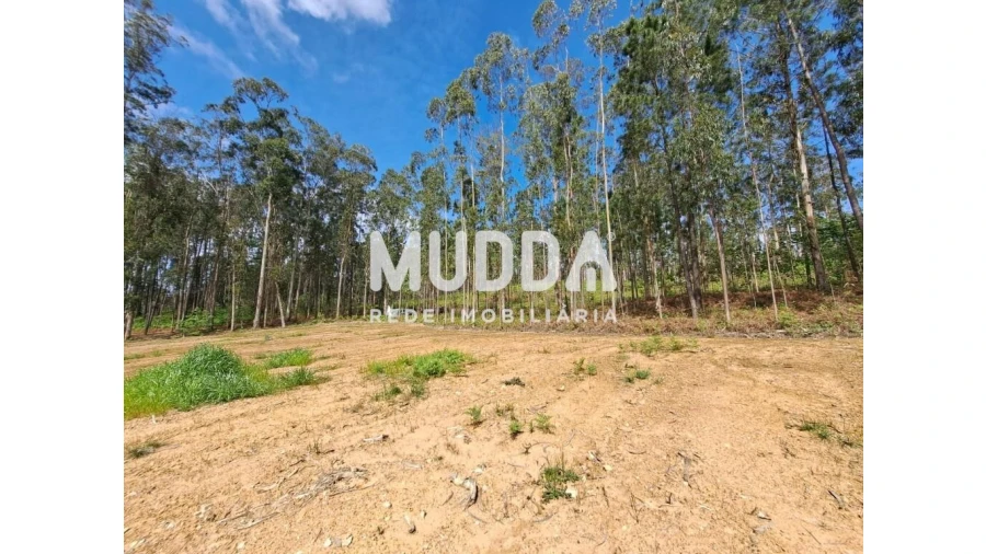 Terreno para Venda em São Martinho da Gandara Foto 3
