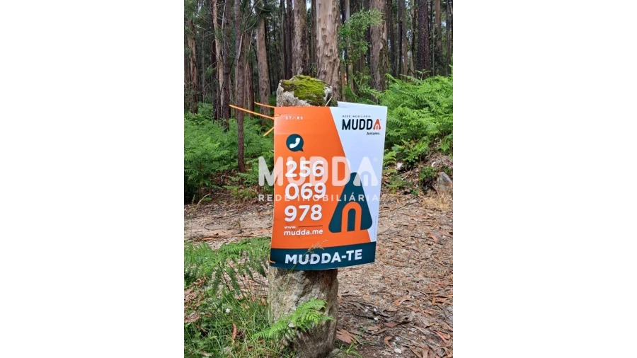 Terreno para Venda em São Martinho da Gandara Foto 4