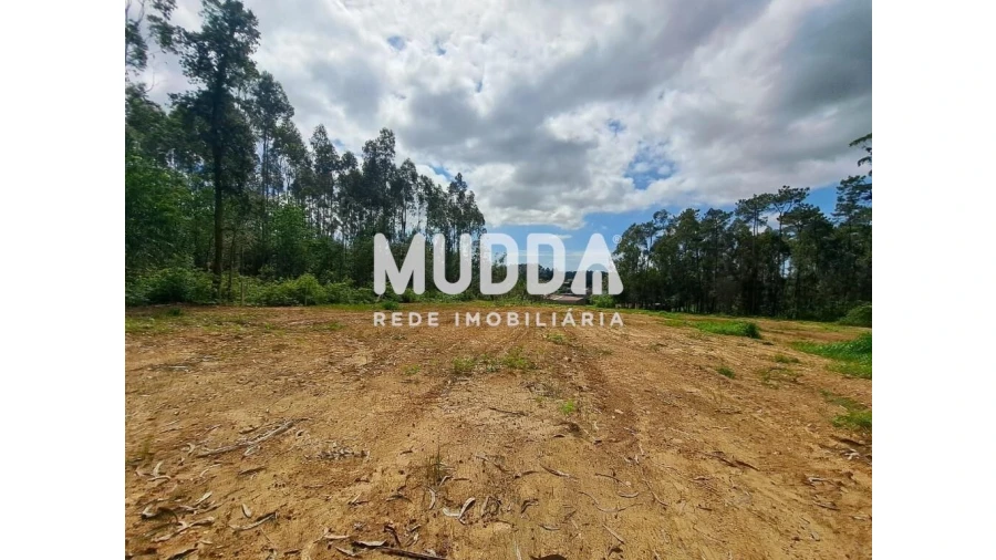 Terreno para Venda em São Martinho da Gandara