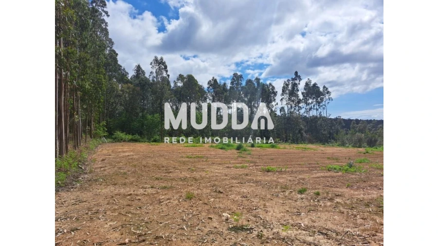 Terreno para Venda em São Martinho da Gandara Foto 9